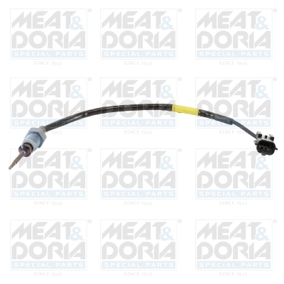 Sensor, exhaust gas temperature